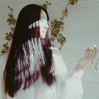 蝶化。 解释永远都是多余的，