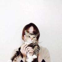 猫旅人 用你的笑容去改变这个