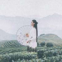 白纸画千骨 回不到的过去，没人懂