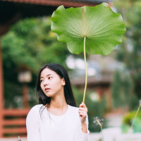 萝卜白菜各有所爱 今年暑假让我等候的除