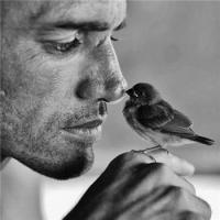 朝阳 痛苦是一过过程,坚持