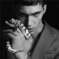 朝阳 痛苦是一过过程,坚持