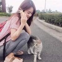 你若盛开 蝴蝶自来 你若精彩 天自安排 可不可以，可不可以告
