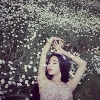 清歌：一花一世界 一叶追寻人 看着窗外的天突然就黑