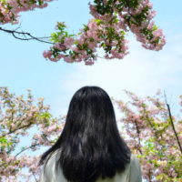 一晌贪欢 想你的心脏无法那么逞