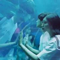 啧啧 听着，优雅歌曲的悠扬