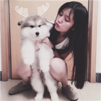我是你无奈的选择，却