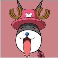 超萌驴版海贼王 无论人生小说的结局如