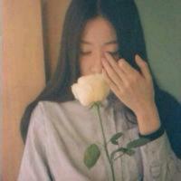 西街姑娘 一句我爱你能挽回什么