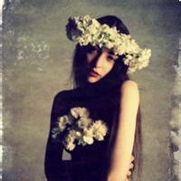 森女系列1 茜纱窗下我本无缘黄土