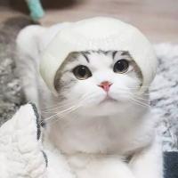 有时候，听到一首歌就