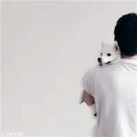 眼泪是我本人的，我再