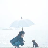 旋律触碰小心脏 生命必须要有裂缝，阳