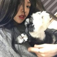 安无恙 我还不懂寂寞是什么，