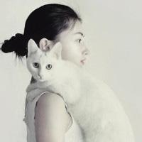 她的猫。 就是因为触碰到心底的