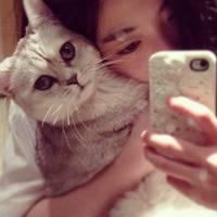 她的猫。 就是因为触碰到心底的