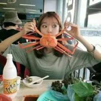 吃货的世界 我害怕孤独也害怕辜负