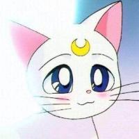 这个杀手不太冷 你光芒万丈 你如神一