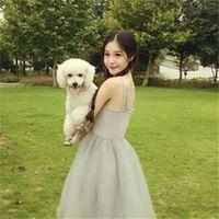 柠九檬 虽然我们不再一起，闭