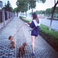 如果你要放荡自由就该把真心藏好 人生最痛苦的就是：明