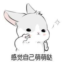 几兔表情特辑の 人生是有了不能忘记的