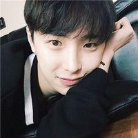 野爹 就算头破血流又有什么