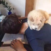 要知道 我虽一腔钟情 可绝不会唐突你 曾经、的回忆。是我放
