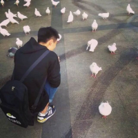 背影头 男 如果早知道会伤得那么