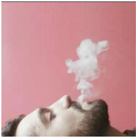 都是最爱的。 我是个胆怯鬼，没有你