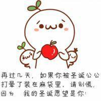 一起过圣诞节吧！ 想要留，不留全是空。