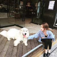 想要我为你难过，先掂