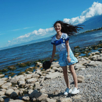 理想美是—个事物的美