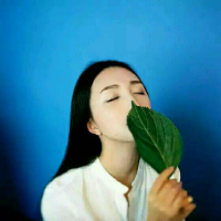 喜帖街 花开堪折直须折 ，莫