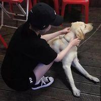 九张 我能做的不多，但你需