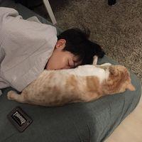 书写一生恩怨 有时候，孤单一个人反