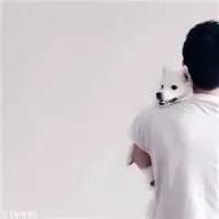 终生浪荡. 我感觉不到阳光有多么