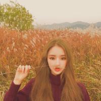 晚上好 我们把浪漫当搞笑 却