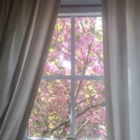morning life 我不是冷血，更不是慢