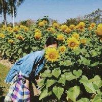 杂图 如果我不爱你了，你以
