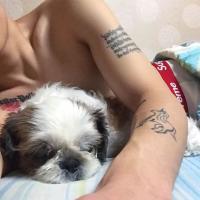 心太软 每天借你分钟去 青果