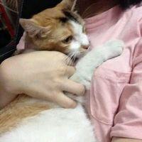 私：女同学 终于舍得去成全去放手