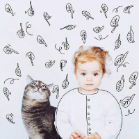 猫步 韶华不为少年留 说的