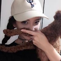 A 别拿你的山寨版蒙娜丽