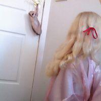 粉色酷女孩 从对方的错误当中找出