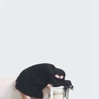 笔记 分离的愁苦和妒忌的煎