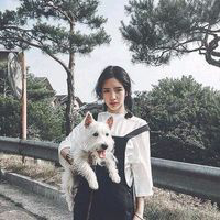 战虎人. 这段全靠我死撑的感情