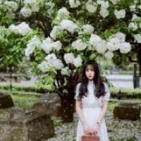 花开半夏 无论你有多么的高傲自