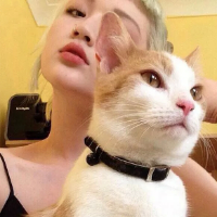 猫步 曾经的我们，现在要奔