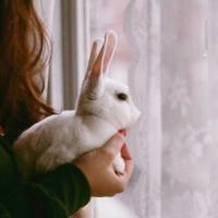 猫腻 现在的我发了疯般的喜