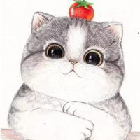 猫腻 现在的我发了疯般的喜